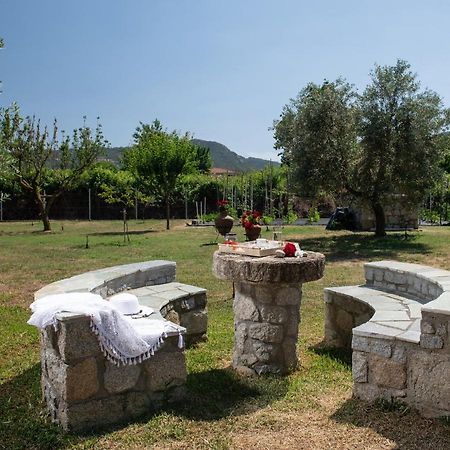 Villa Tsitreli 시키아 외부 사진