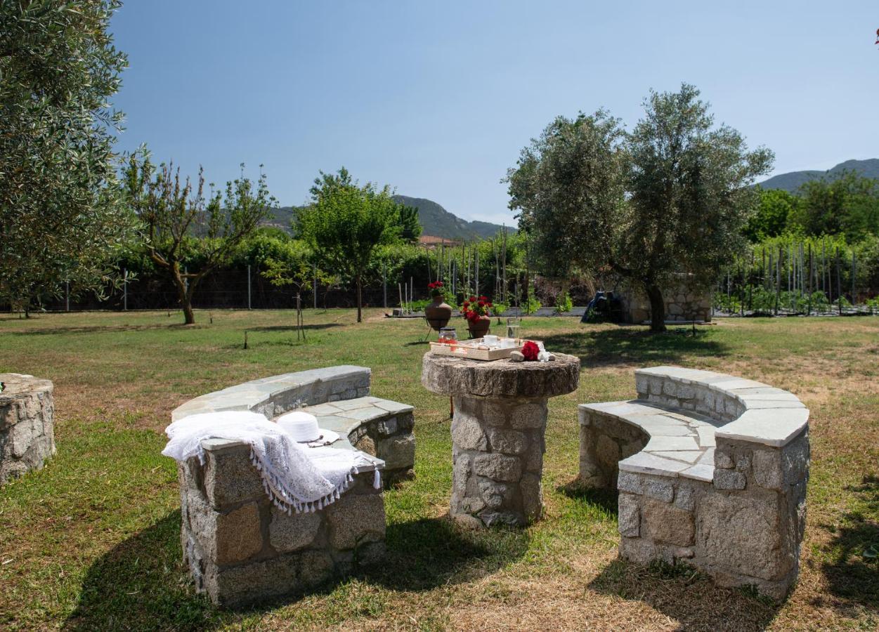 Villa Tsitreli 시키아 외부 사진