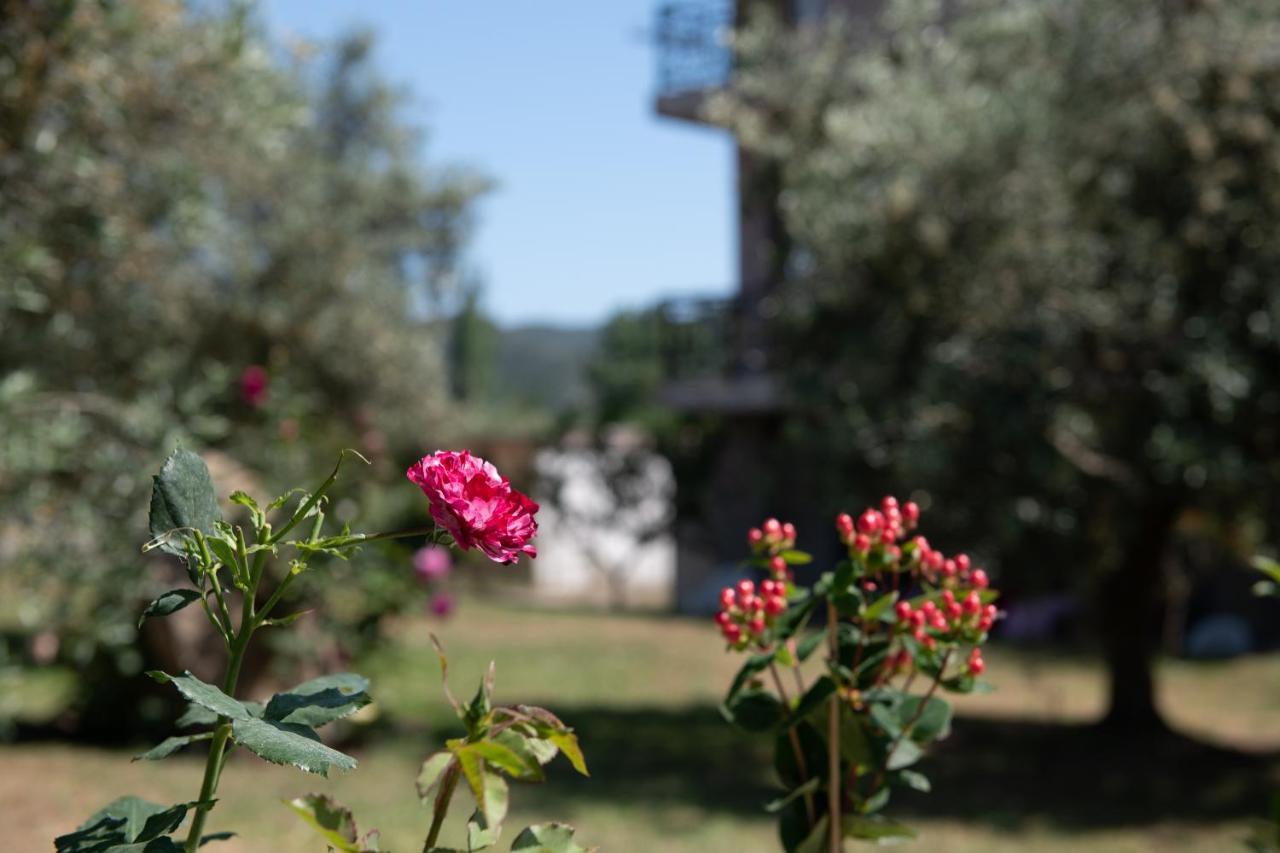 Villa Tsitreli 시키아 외부 사진