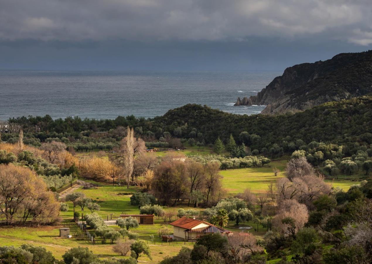 Villa Tsitreli 시키아 외부 사진