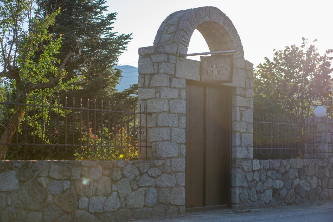 Villa Tsitreli 시키아 외부 사진